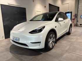 Tesla Model Y Long Range Dual Motor -2024