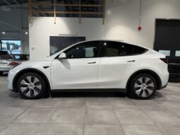 Tesla Model Y Long Range Dual Motor -2024 full
