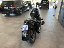 Harley-Davidson Fat Boy Lo/Special 110 Anniversary Edition -2013 full